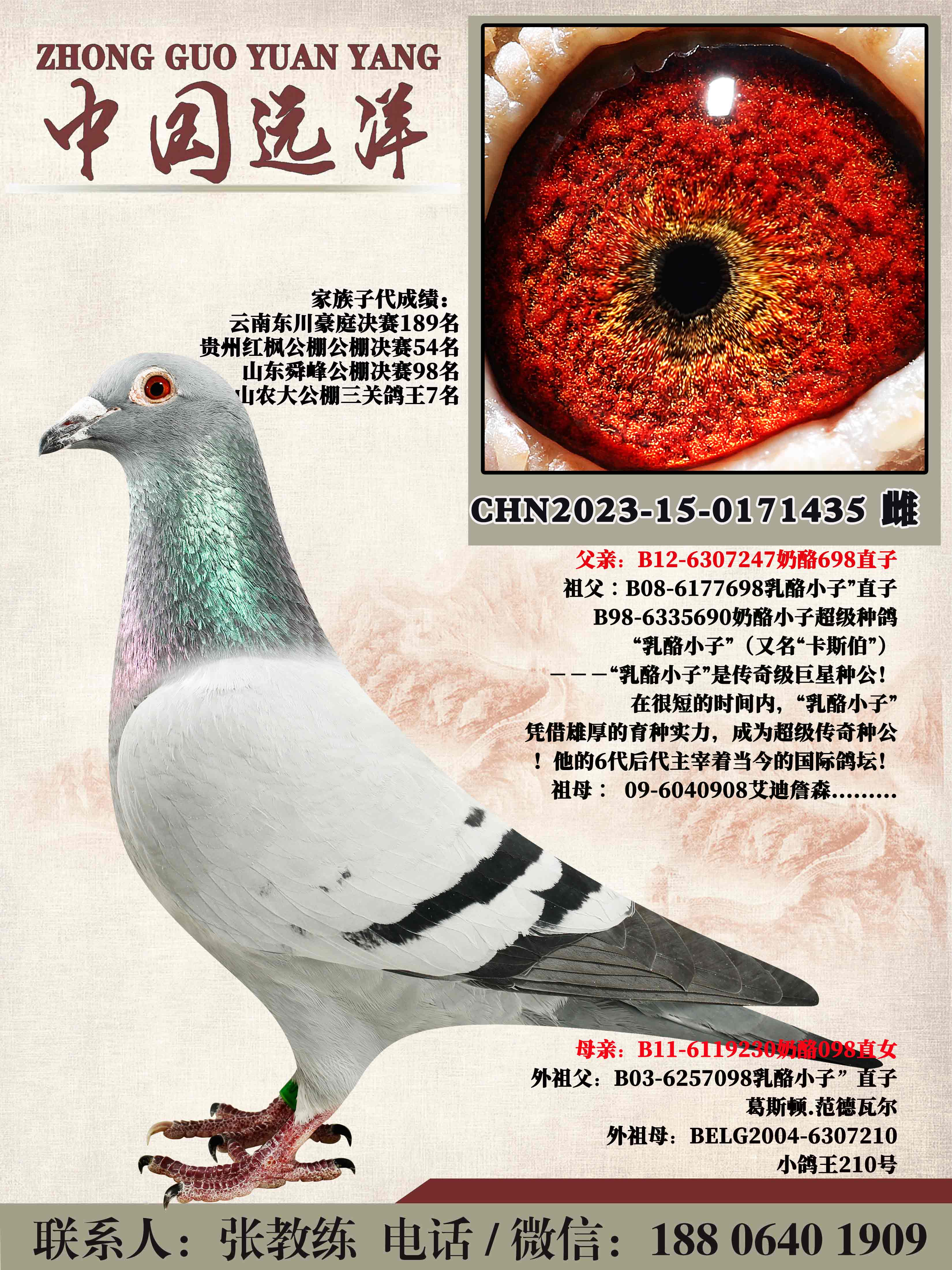 겻ɿQ
