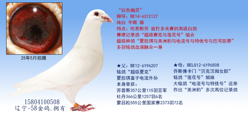 һƷɫ`wİ 