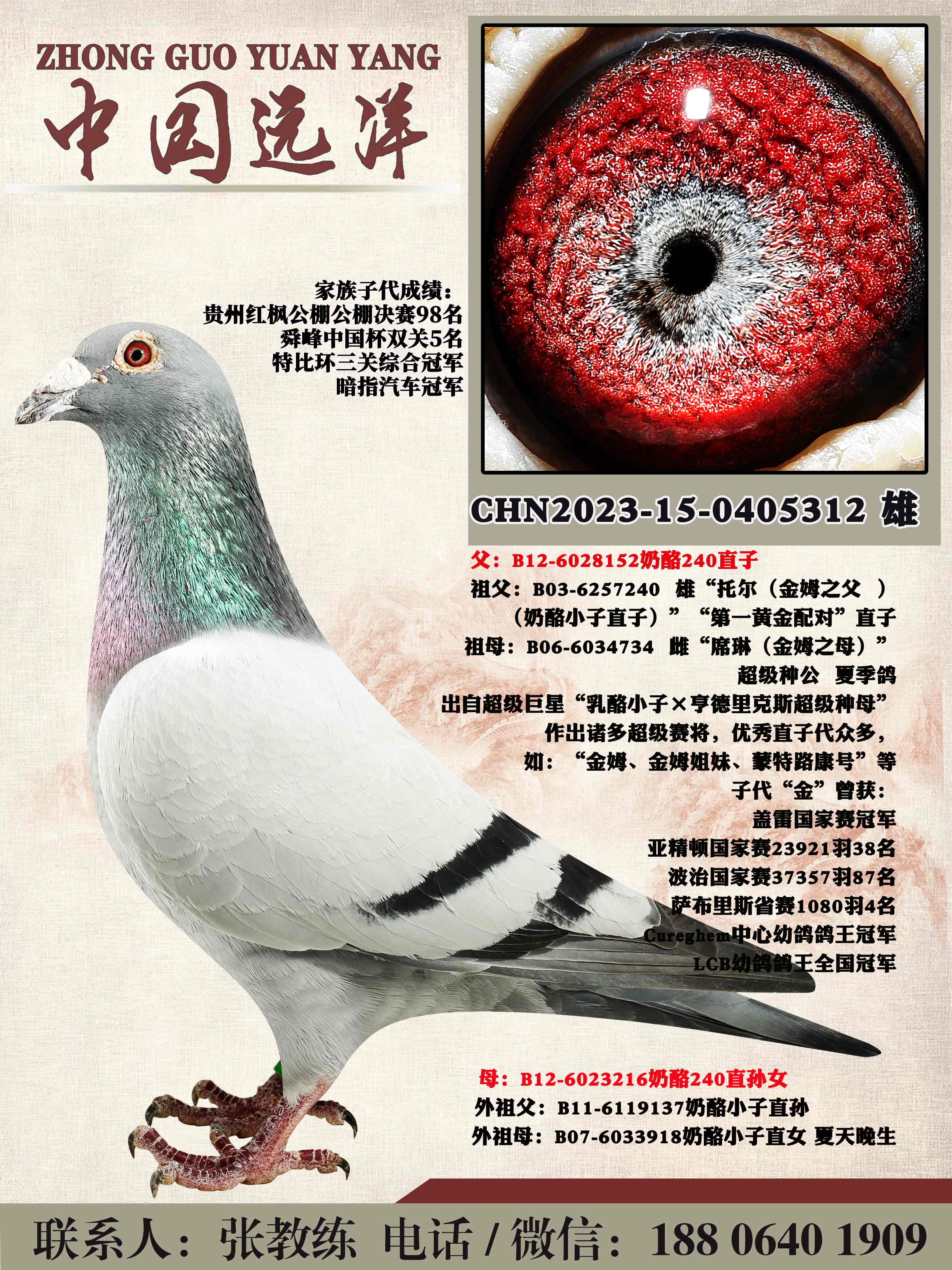 겻ɿQ