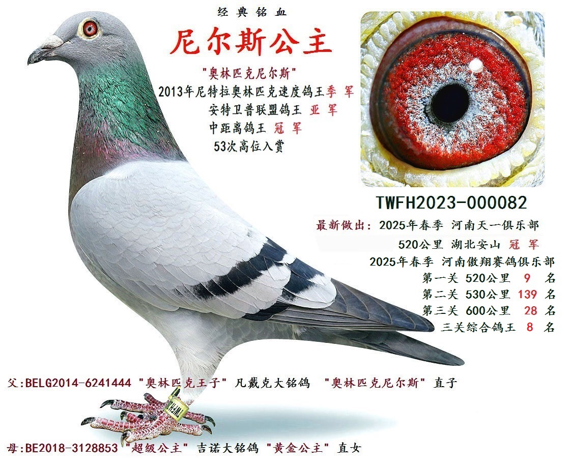 ᠖˹