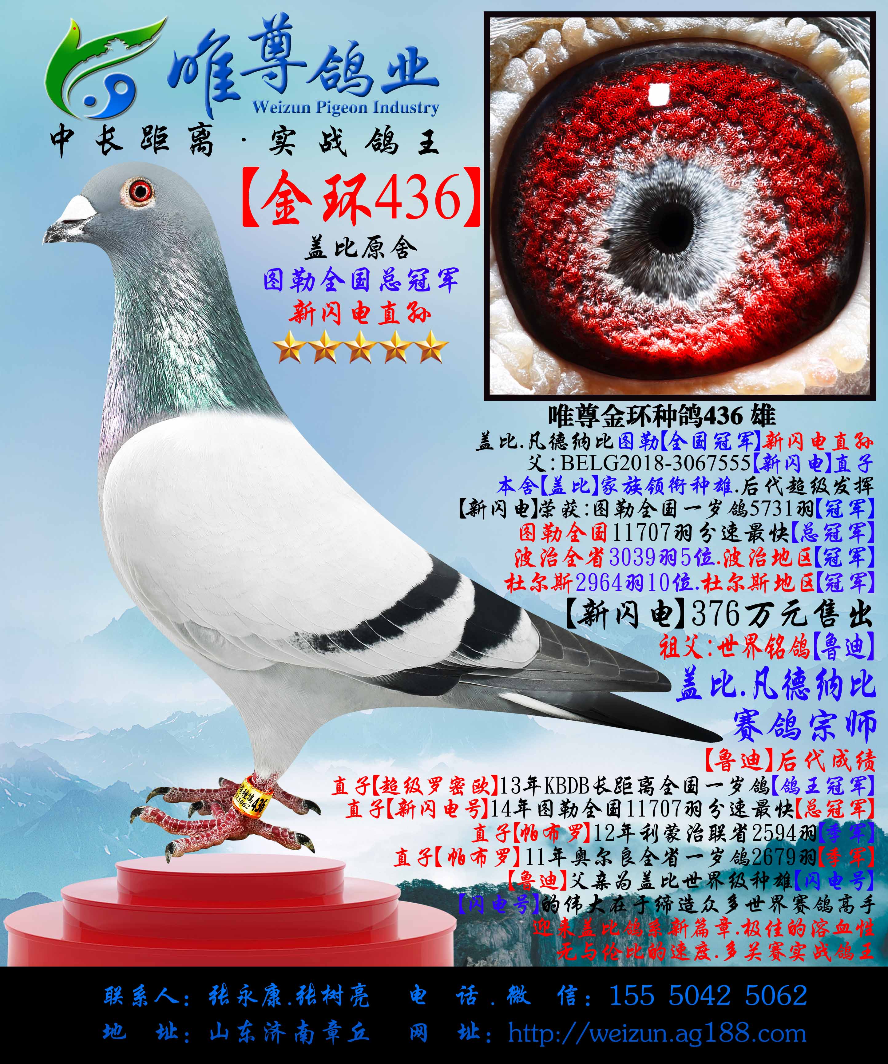 W436