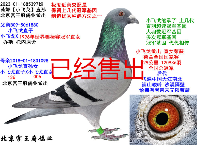 ȡСw꡿ֱO