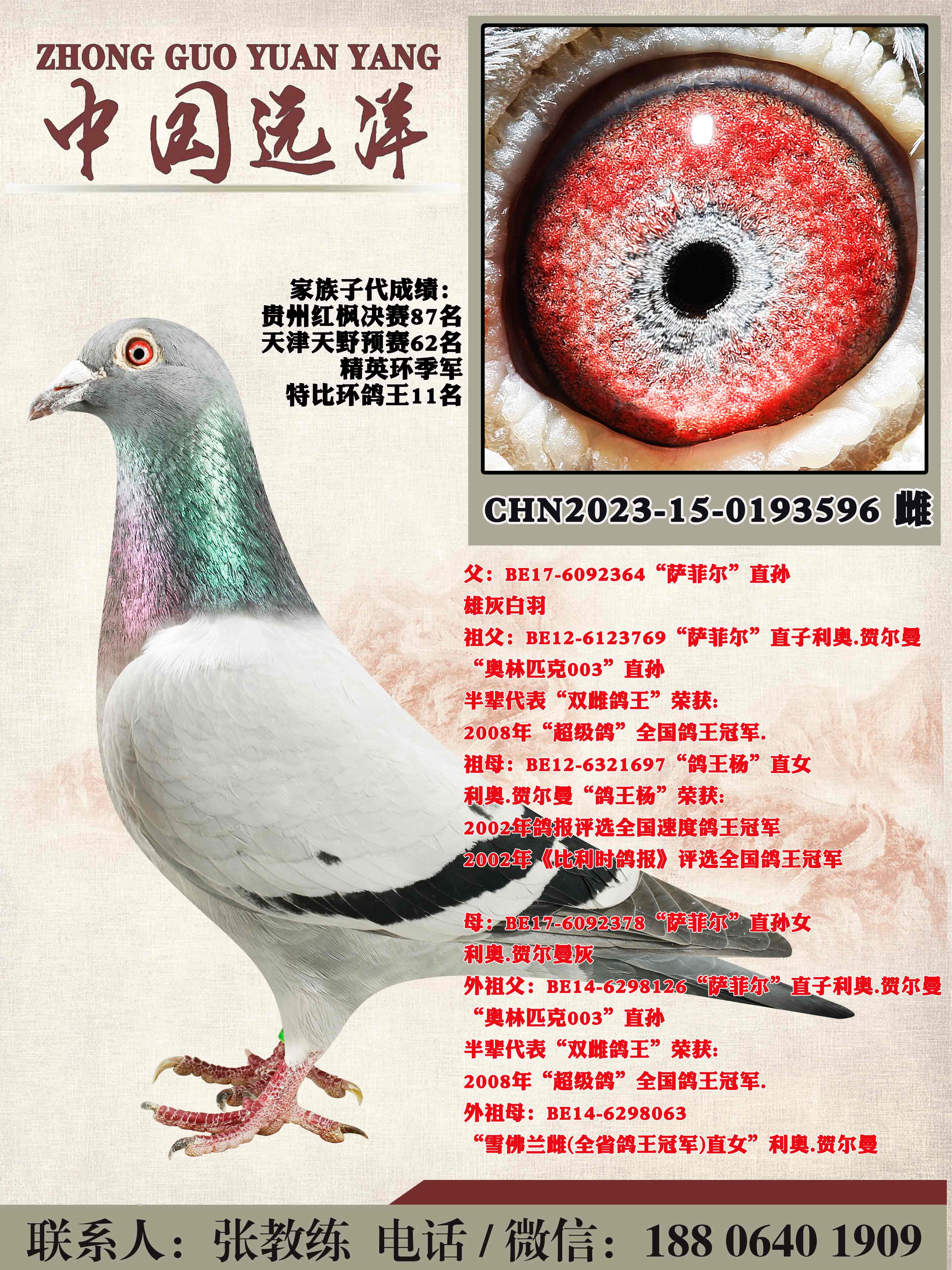겻ɿQ