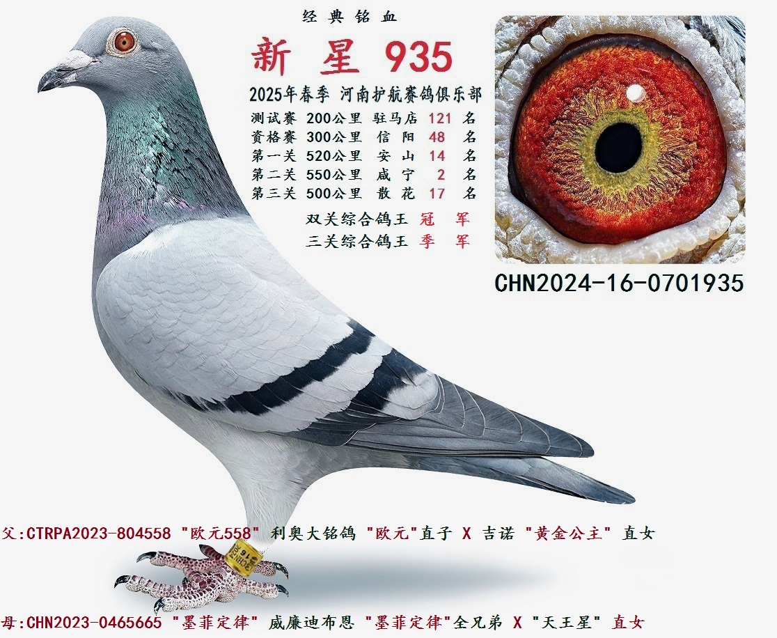 2025괺 pP(gun)C܊