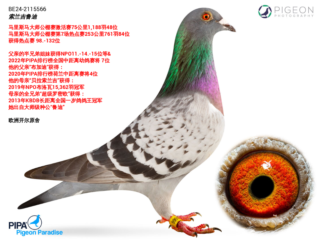 m?sh)ϡ? ></a>
        
      
      </div>
   
       <br>
    </td>
  </tr>
</table>
   
<table width=