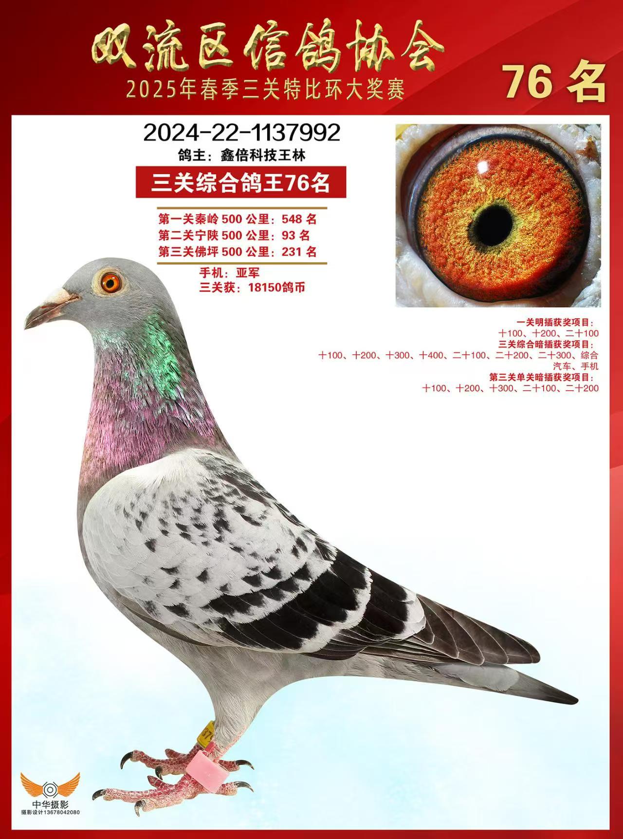 2025괺pرȭh(hun)@(jing)