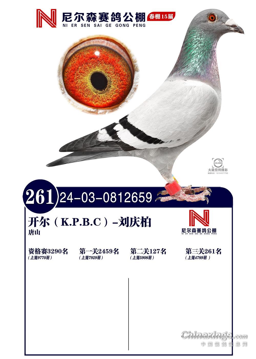 25괺ɽ᠖ɭQِ261