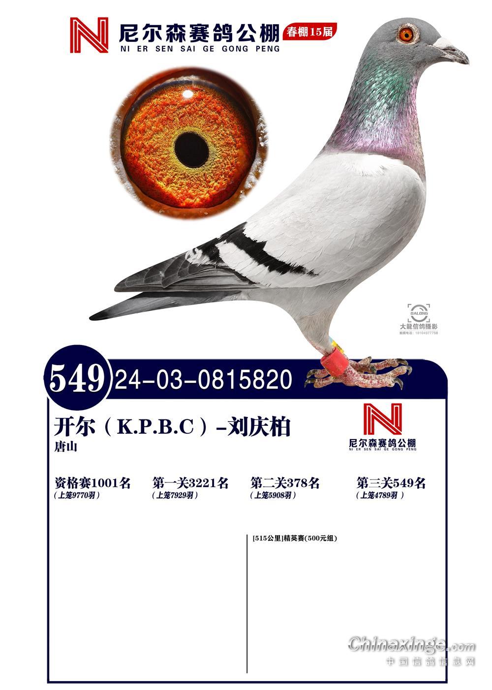 25괺ɽ᠖ɭQِ549