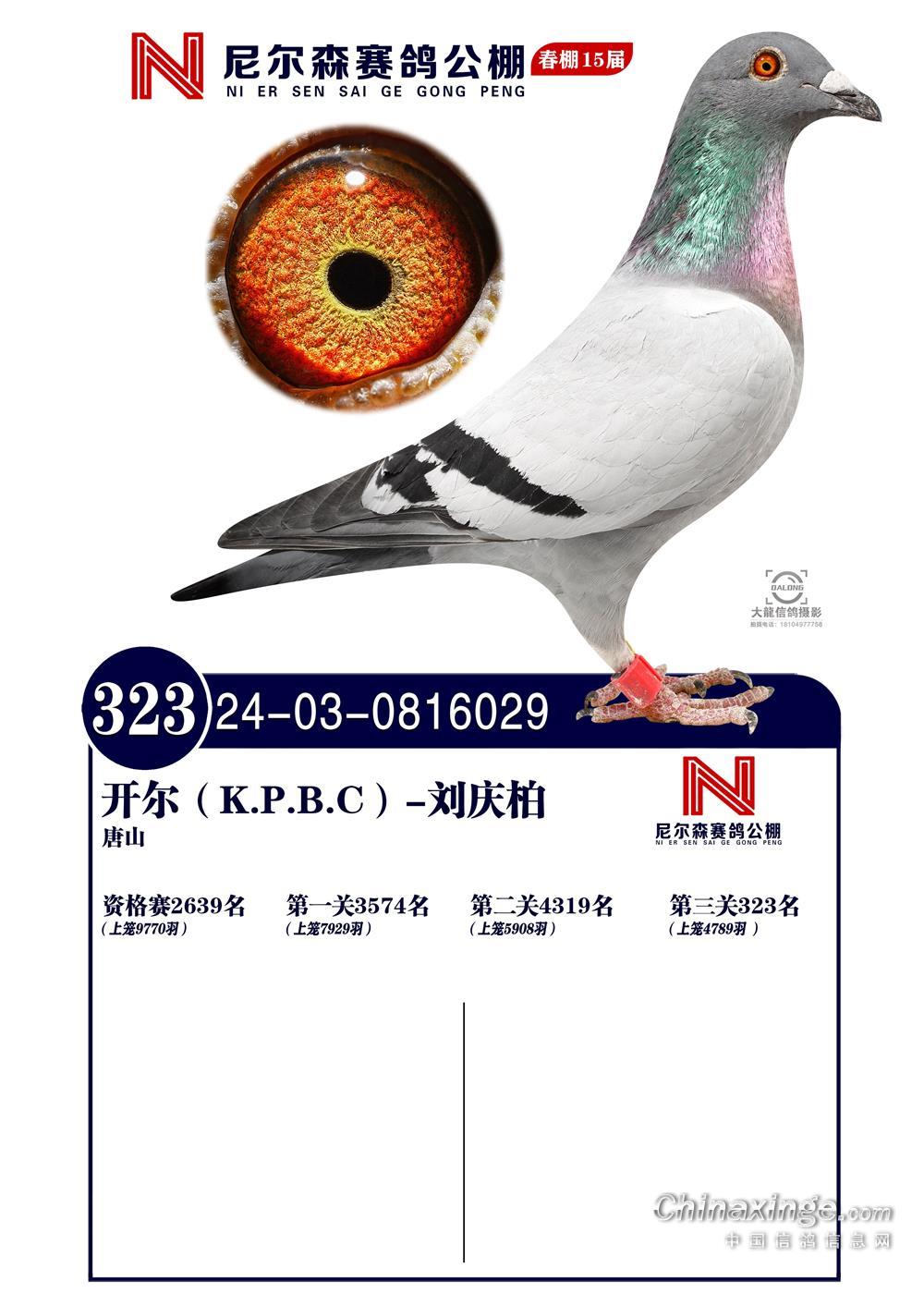 25괺ɽ᠖ɭQِ323