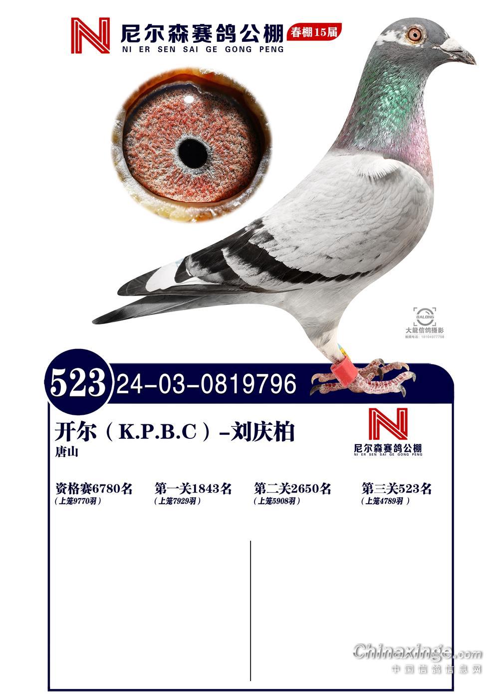 25괺ɽ᠖ɭQِ523
