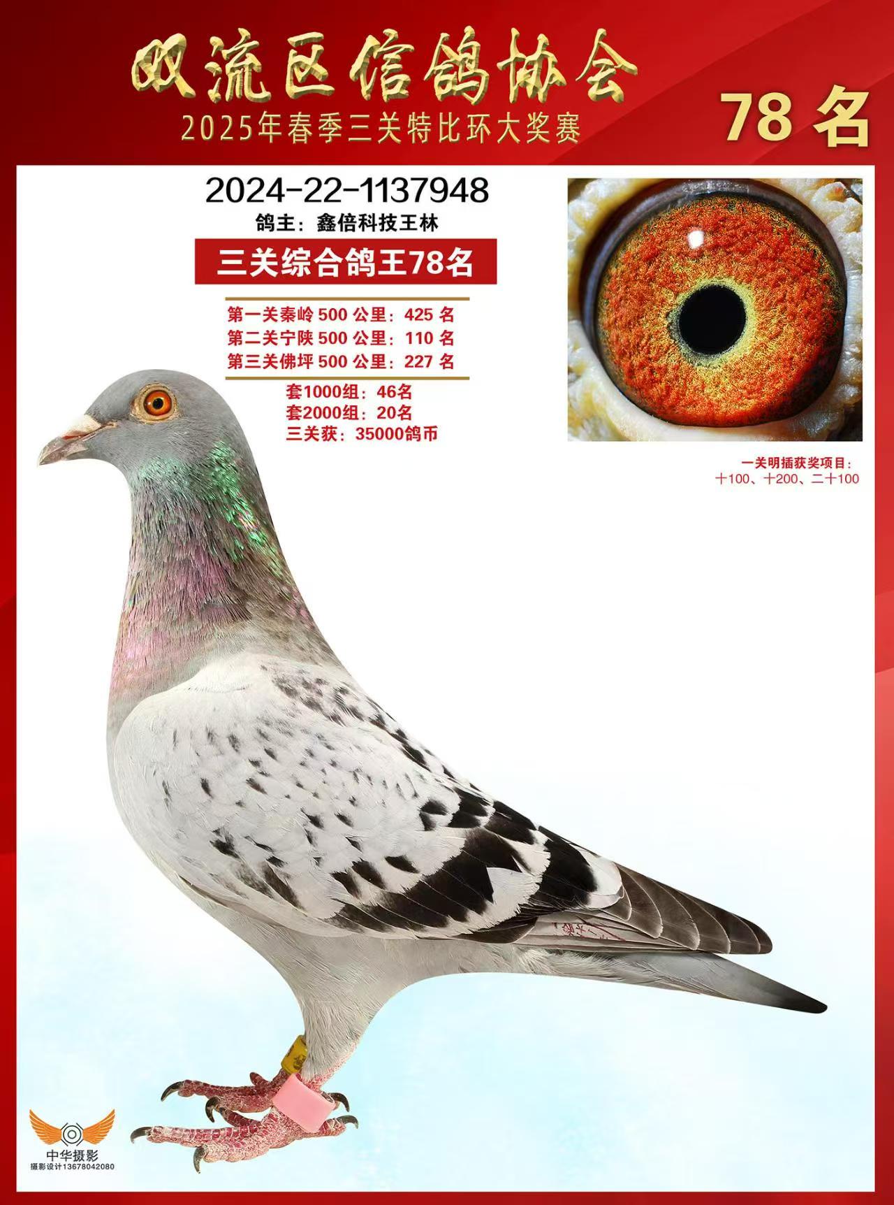 2025괺pرȭh(hun)@