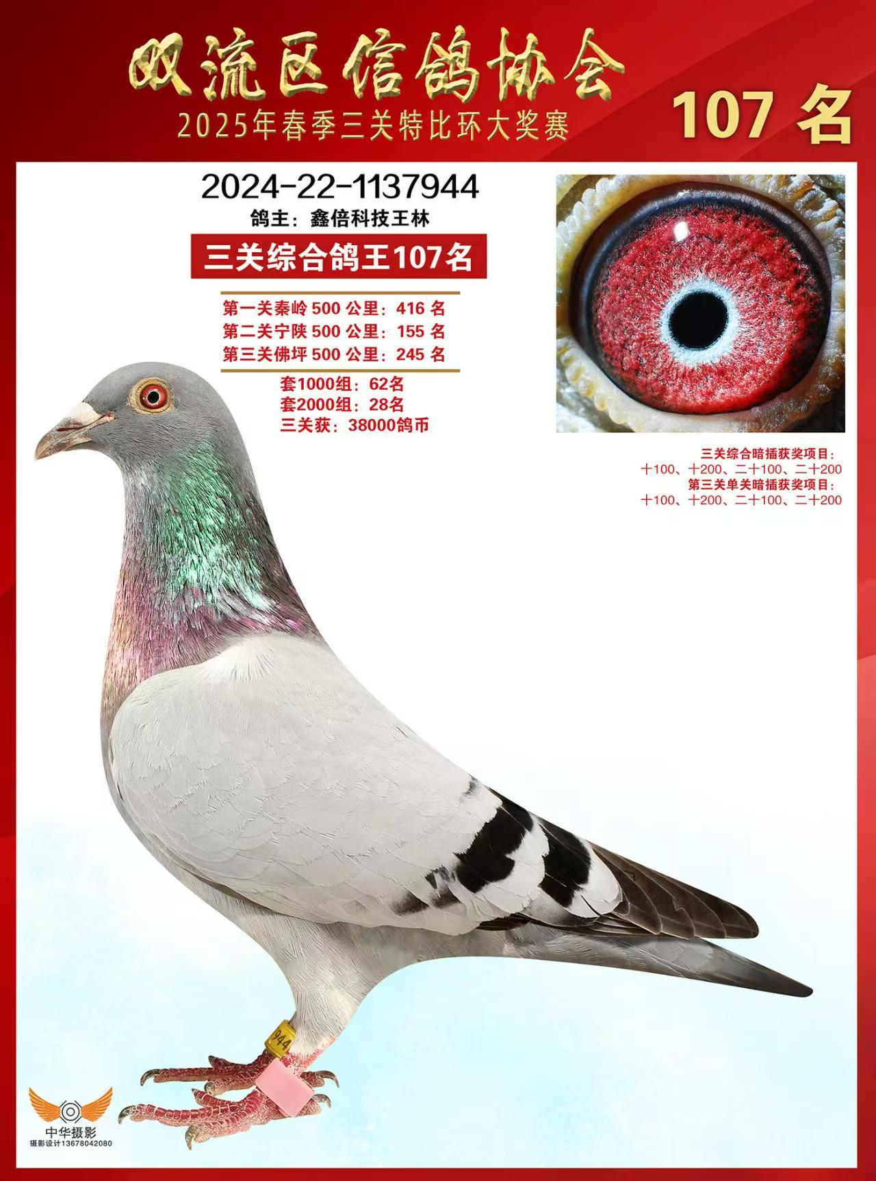 2025괺pرȭh(hun)@(jing)