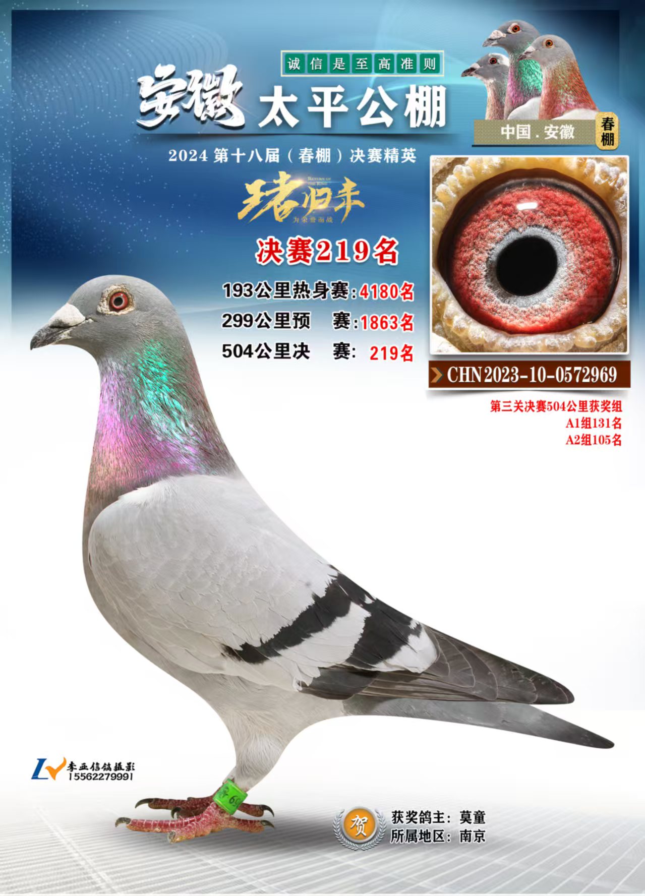 ̫ƽQِ219