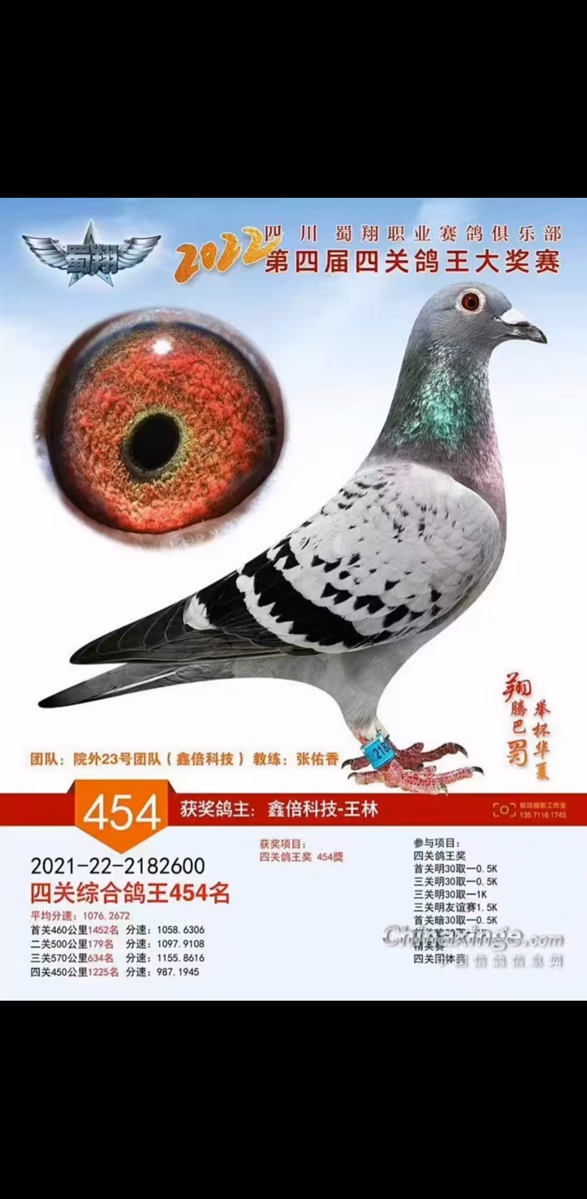 2022괺ĴI(y)㘷P(gun)(jing)