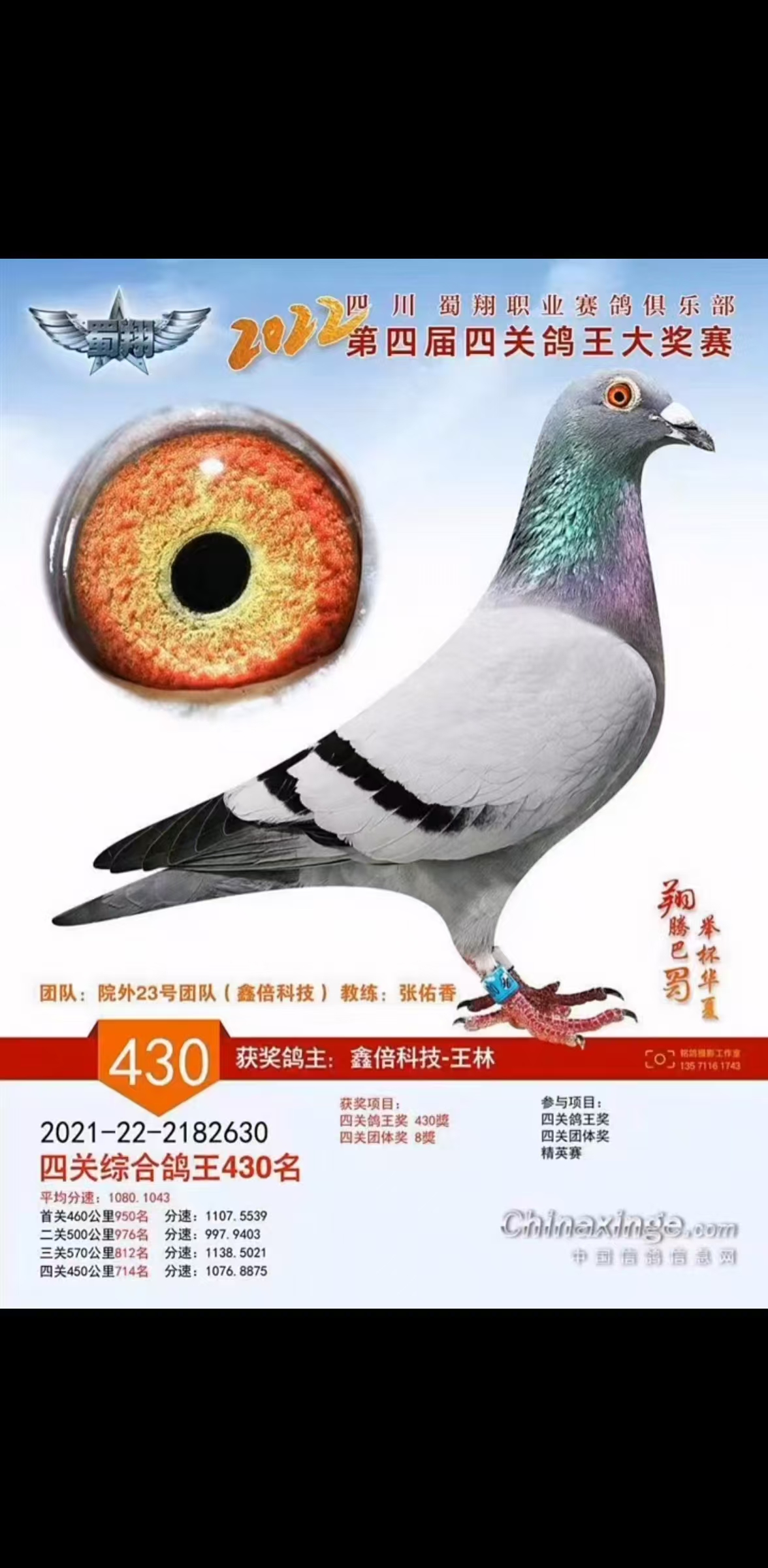 2022괺ĴI(y)㘷P(gun)(jing)