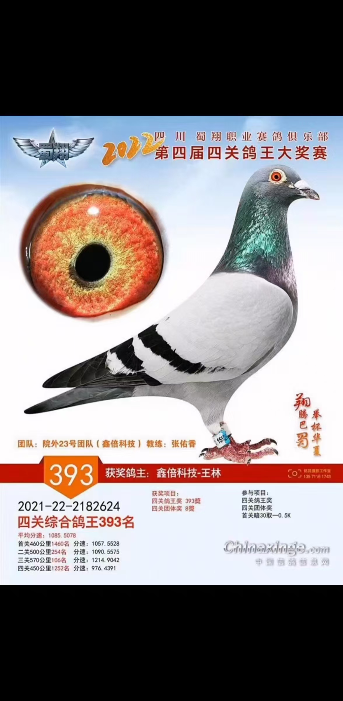 2022괺ĴI(y)㘷P(gun)