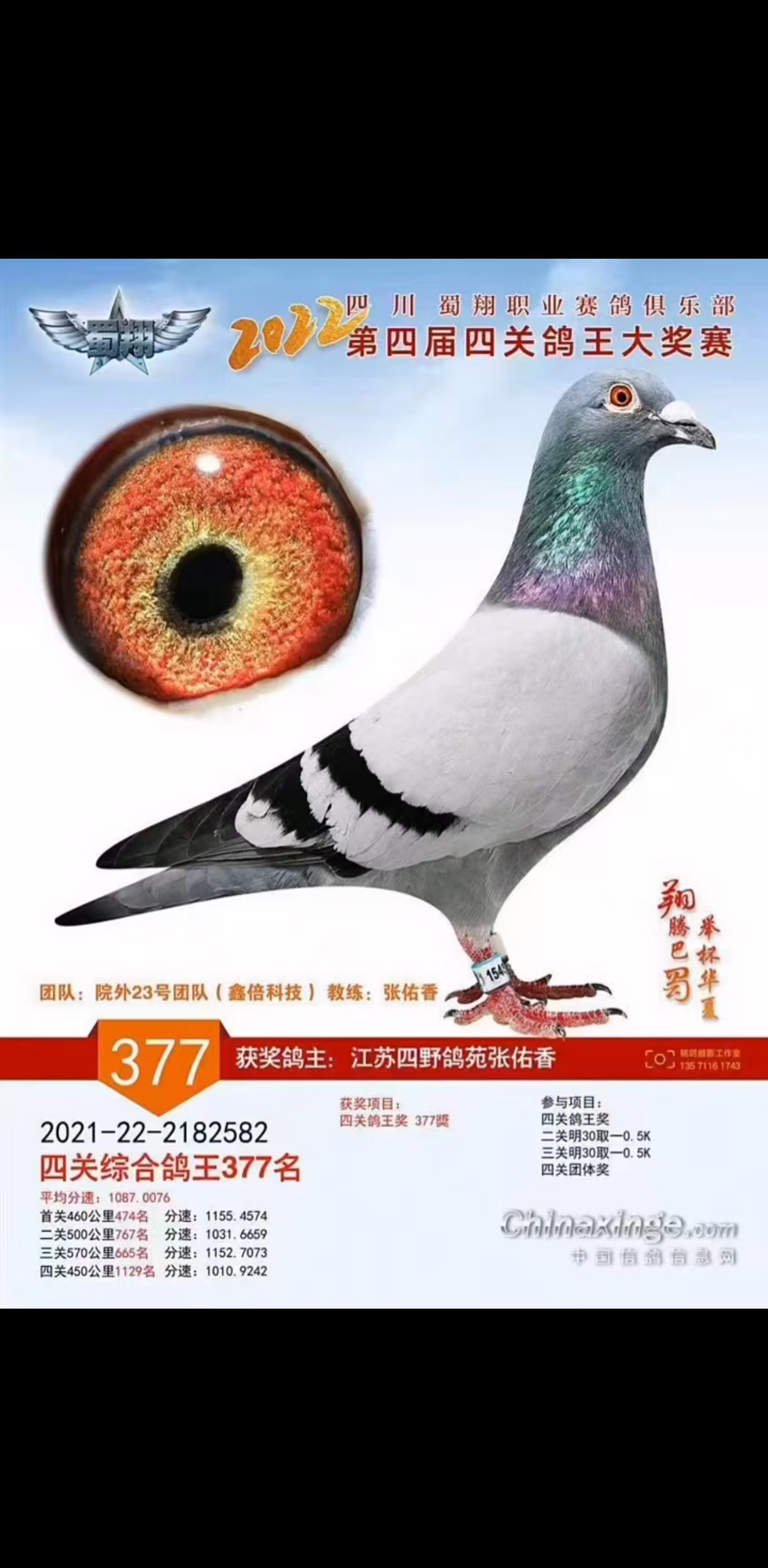 2022괺ĴI(y)㘷P(gun)