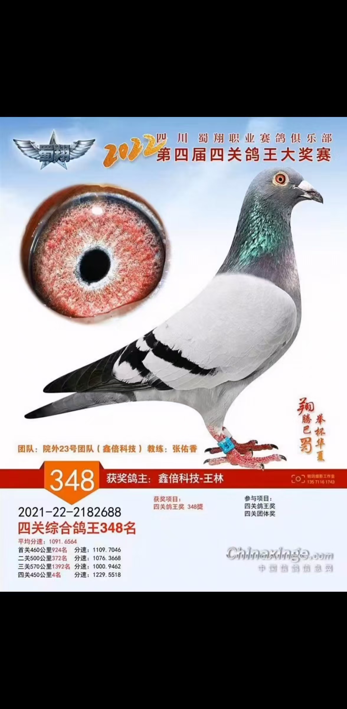 2022괺ĴI(y)㘷P(gun)