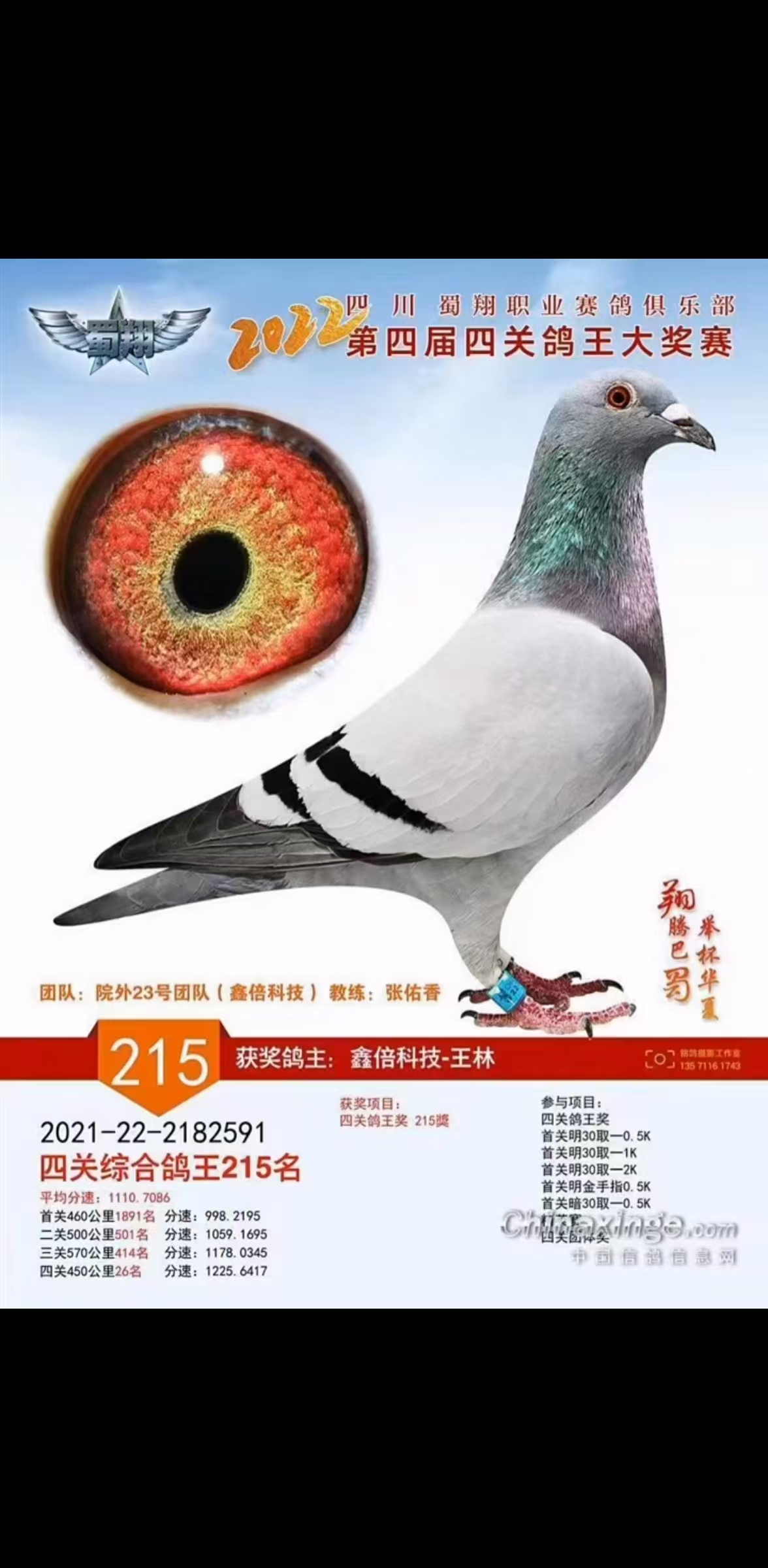 2022괺ĴI(y)㘷P(gun)(jing)