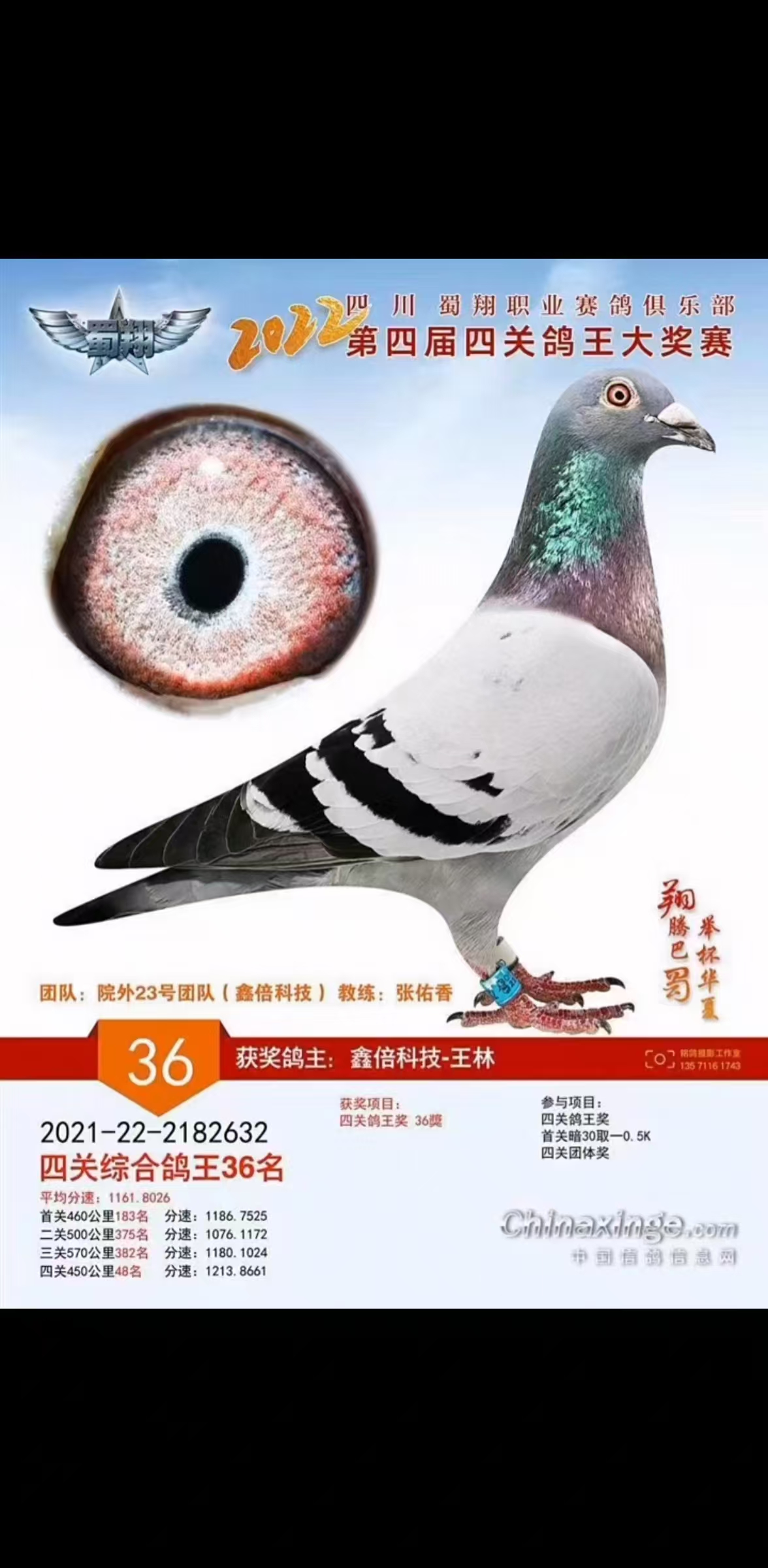 2022괺ĴI(y)㘷P(gun)(jing)