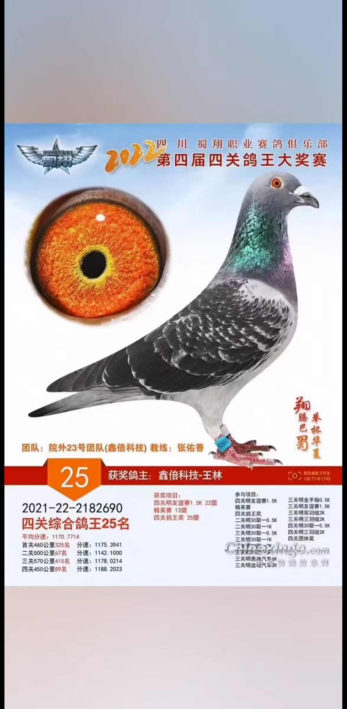 2022괺ĴI(y)㘷P(gun)(jing)