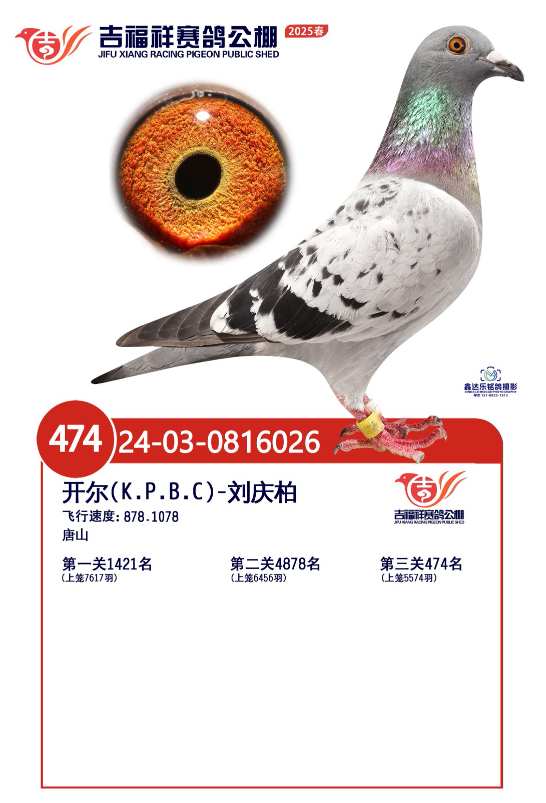 25괺ؑcQِ474