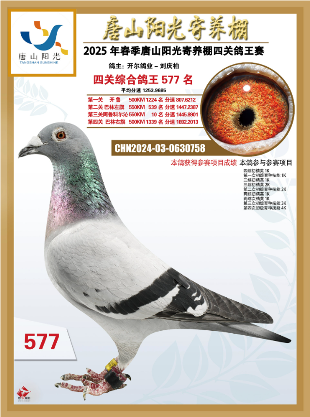 25괺ɽꖹB(yng)P(gun)C577