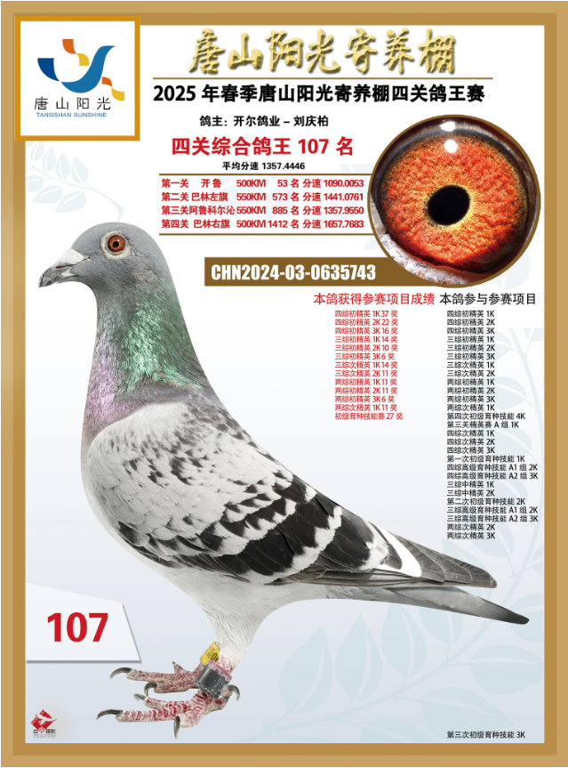 25괺ɽꖹB(yng)PC107