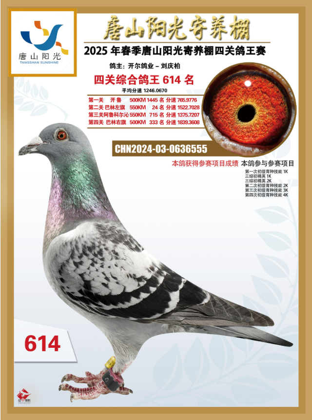 25괺ɽꖹB(yng)PC614