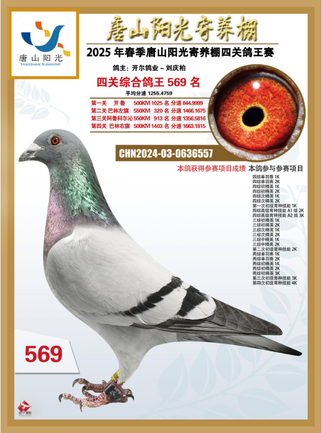 25괺ɽꖹB(yng)P(gun)C569