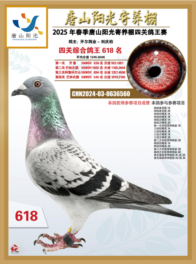 25괺ɽꖹB(yng)P(gun)C618