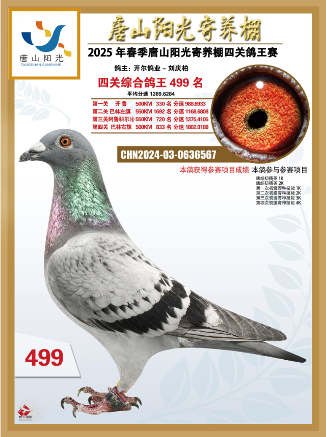 25괺ɽꖹB(yng)PC499