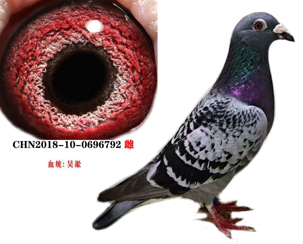 c0604b2ca4263d859f5933213969e41