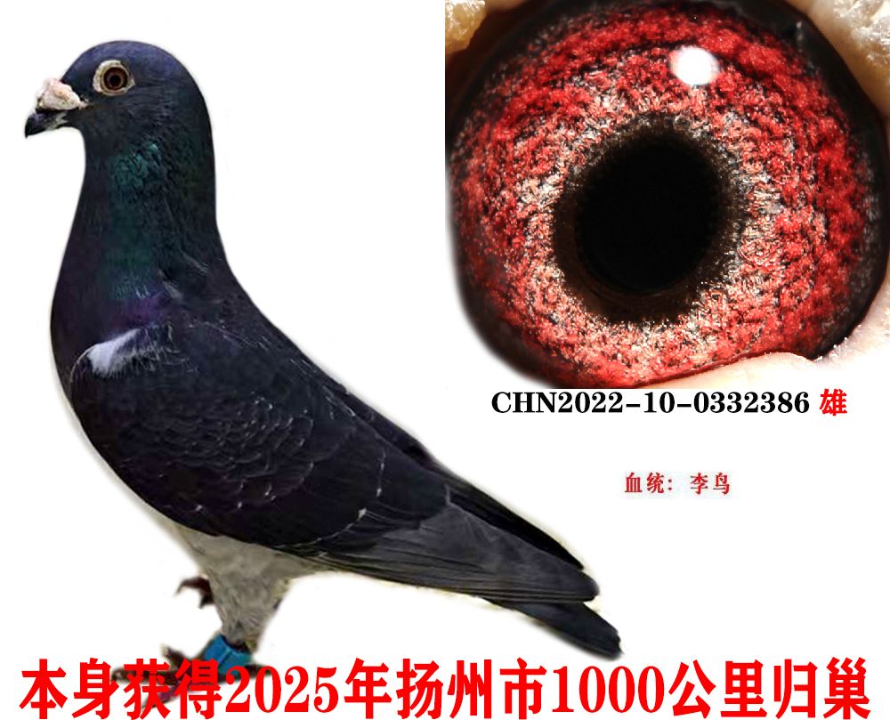 e8f55bc05195ea97d09ad2d7dc90d8b