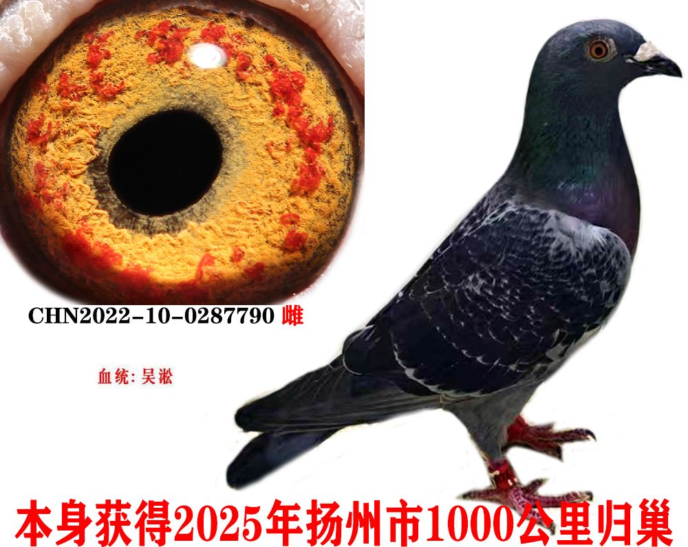 2eddef15fb6be6ccd75c1a468e03c39