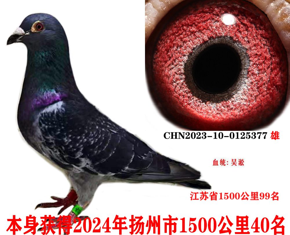 5f070ee47e0ba47c725b0b8a55a29a0
