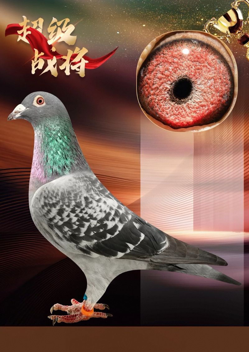 Ʒ1