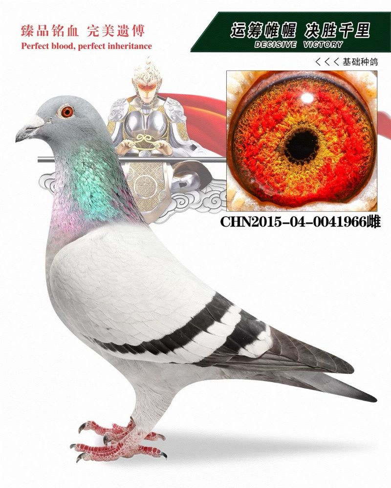 Ʒ3