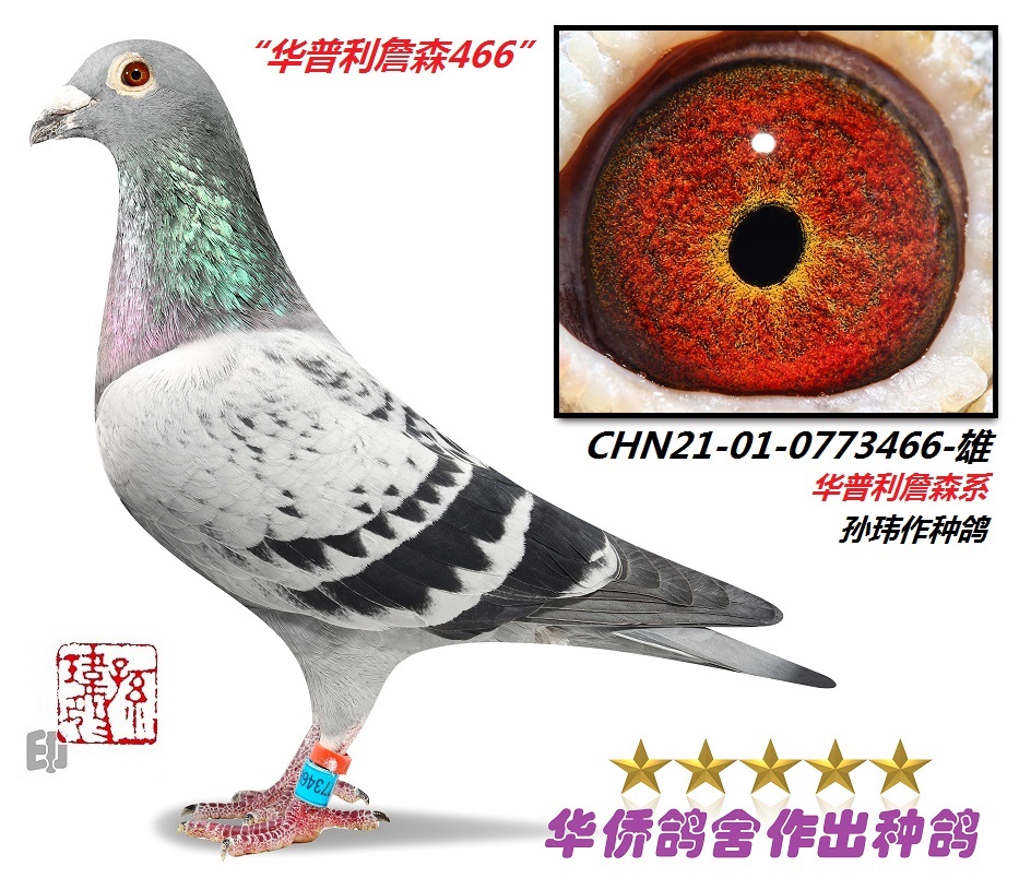 �ƽ��ϵ--����������ϵ��ħ��ϵ��