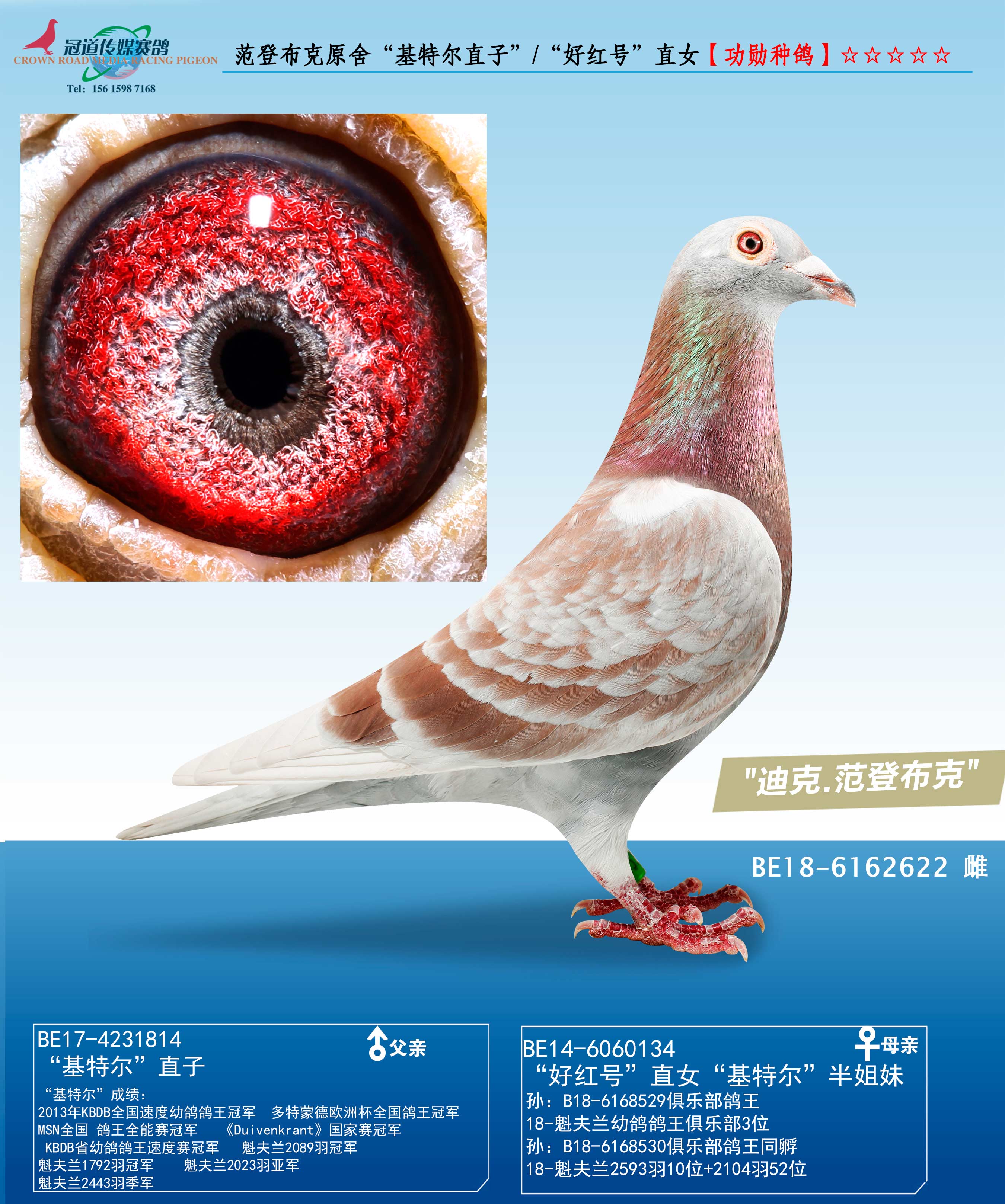 ؠֱӡ/ütֱ̖Ů