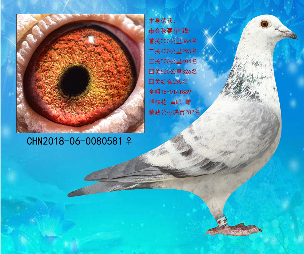 nסӢۡ581
