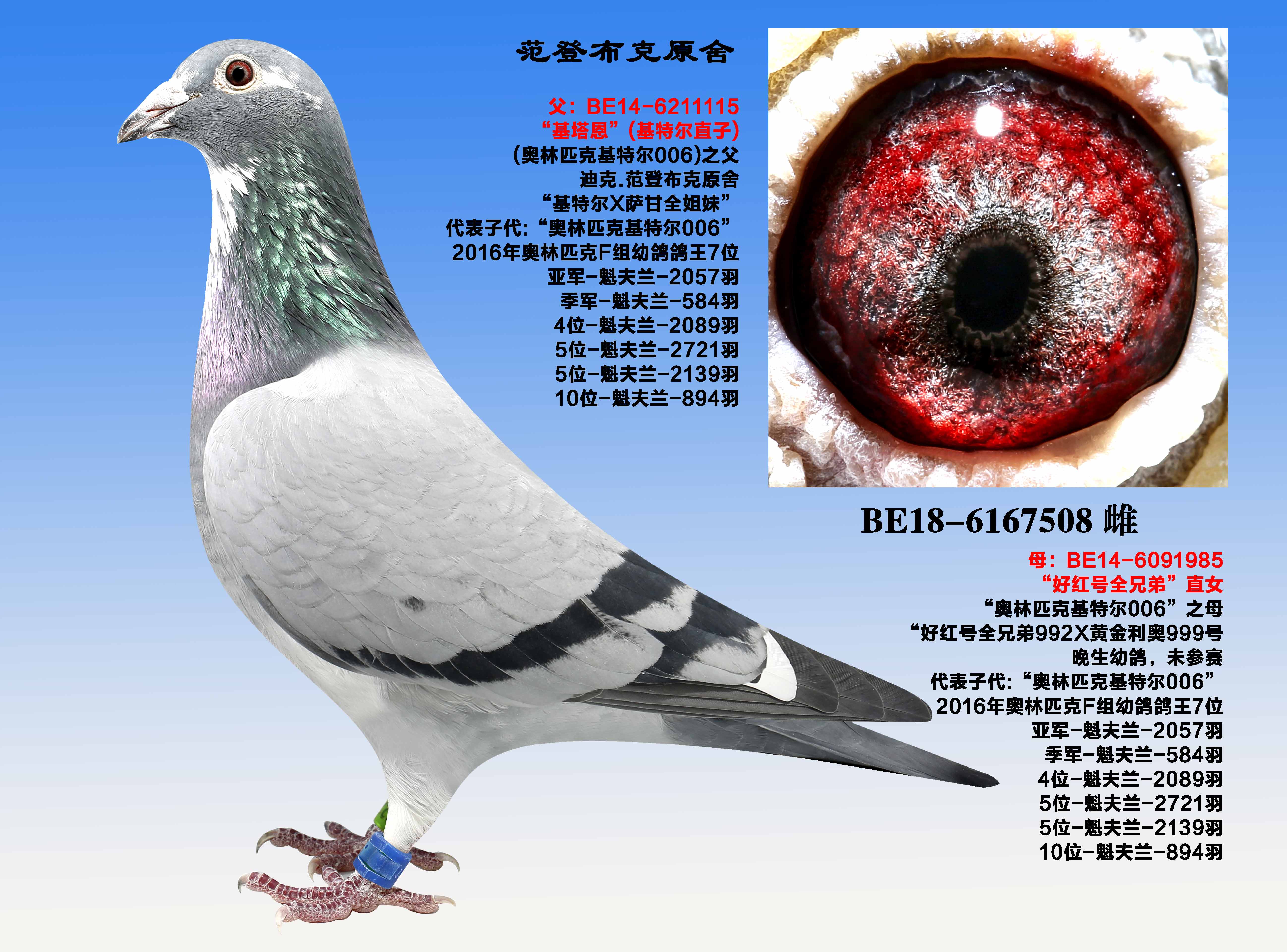 Wƥ˻ؠ006ȫƽ݅