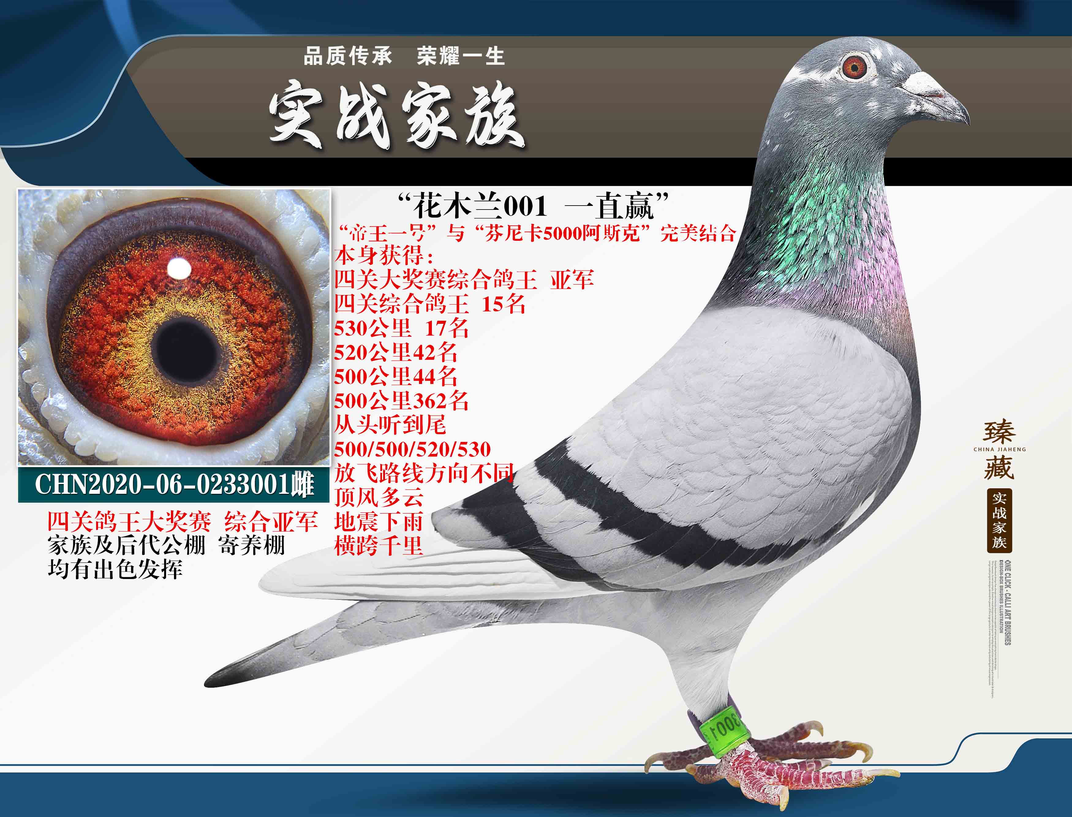 Ῠ5000P(gun)(jing)ِ܊