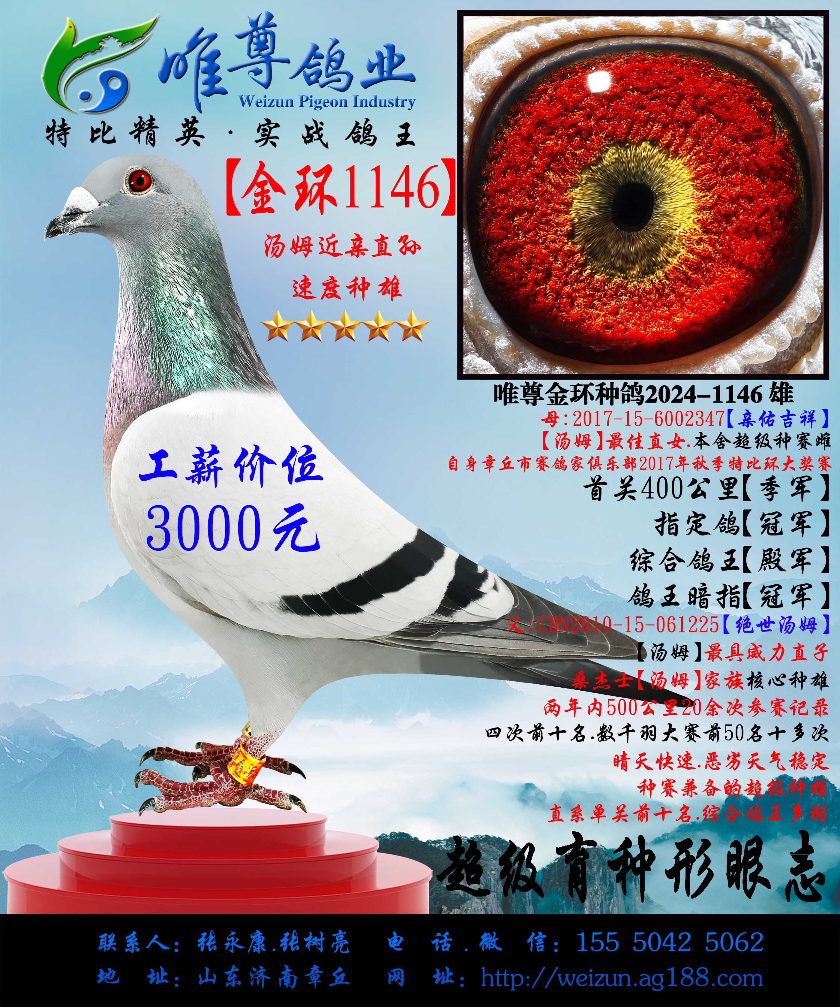 h(hun)1146ýH