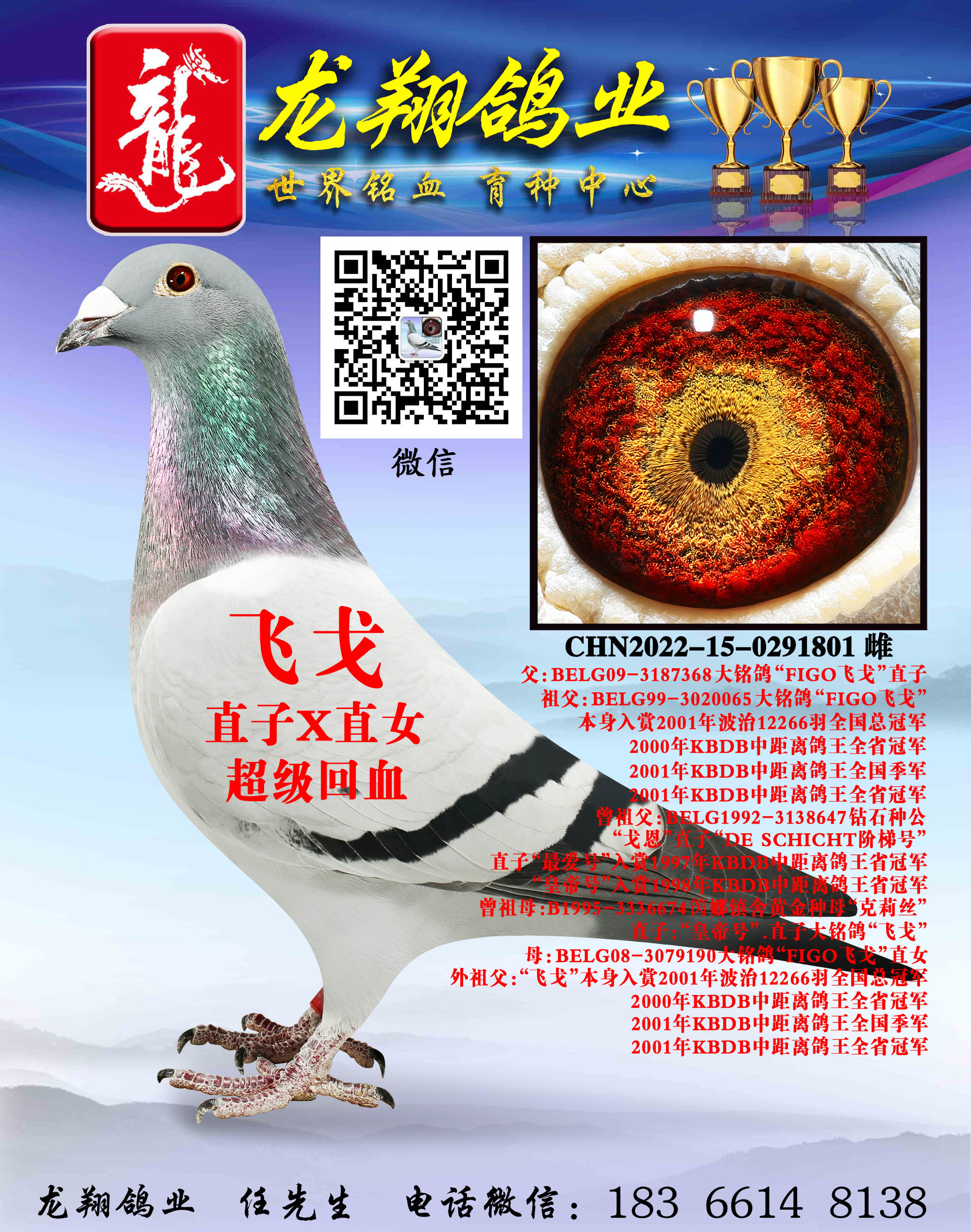 wꡱHOŮ