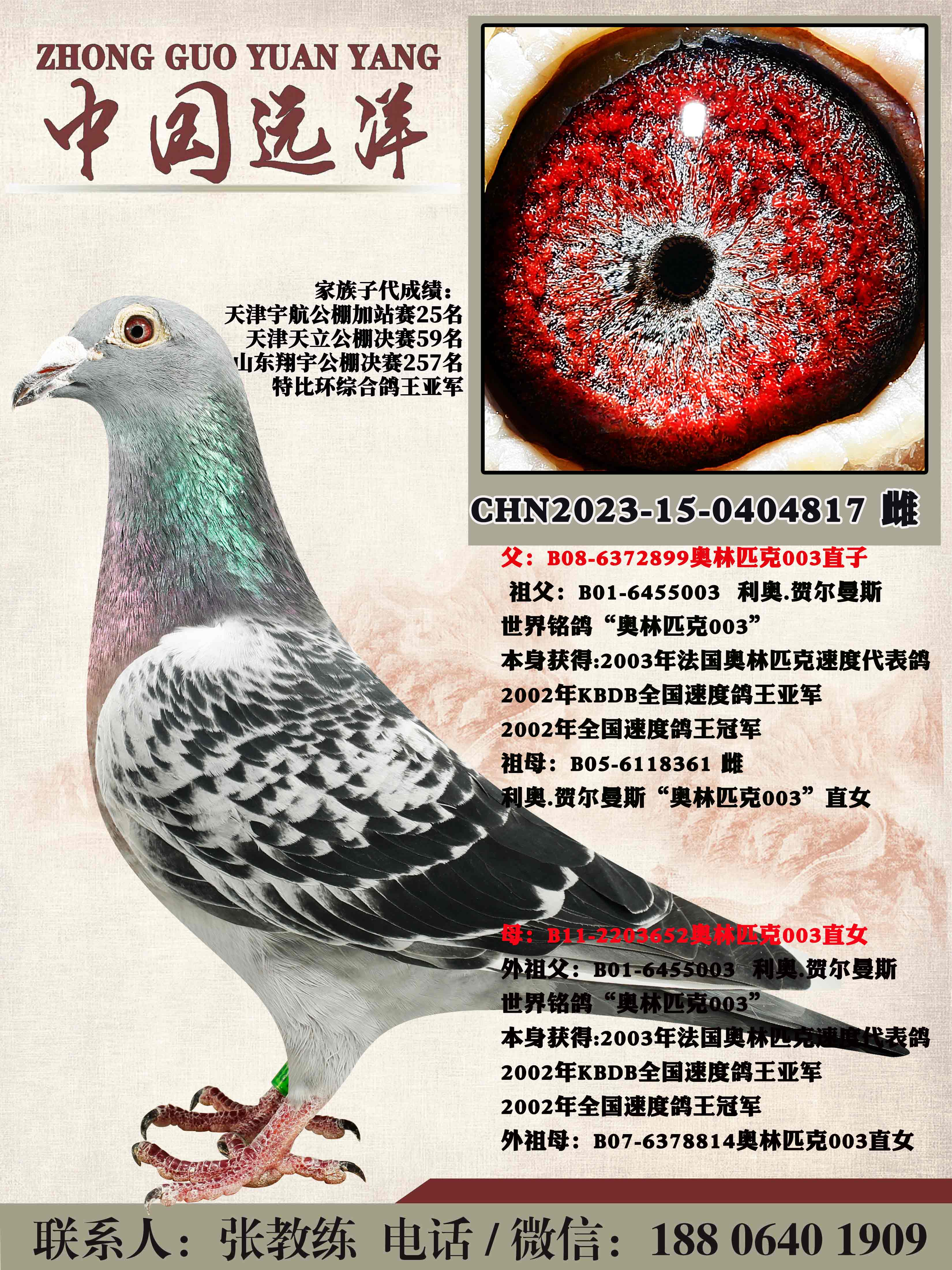 겻ɿQ