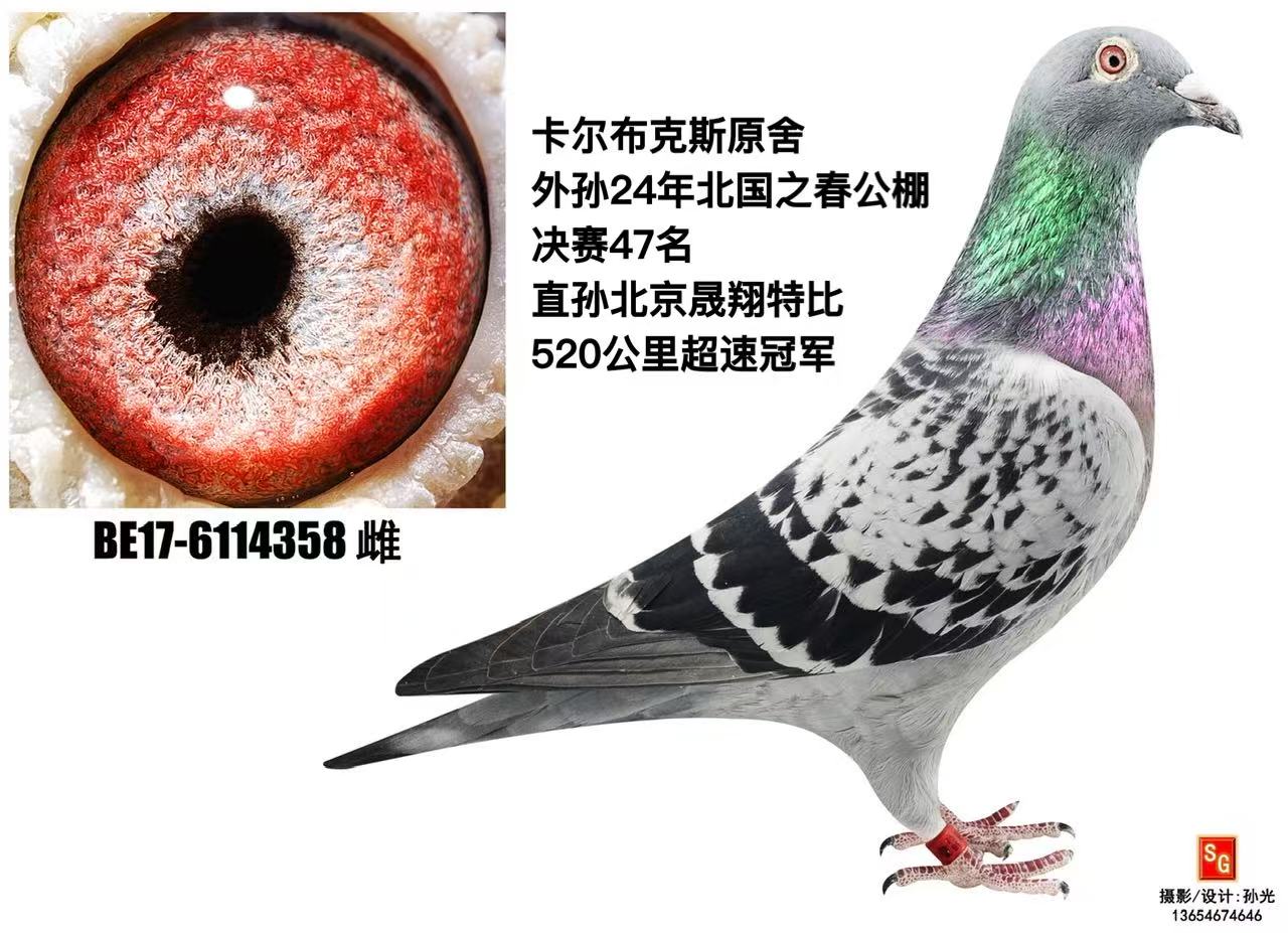 358