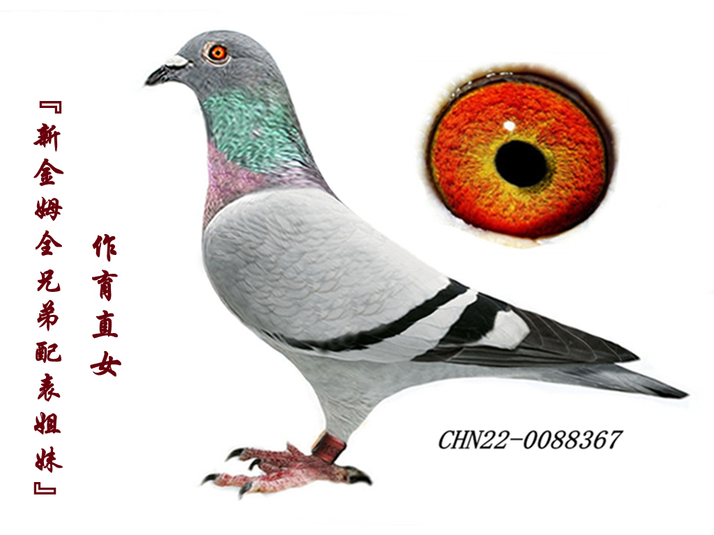 ½ķȫֵܡֱŮ
