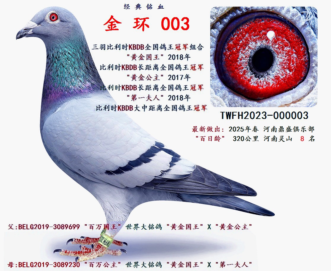  h(hun) 003