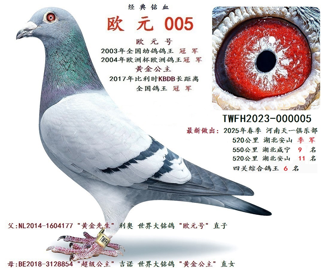 W Ԫ 005